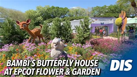 bambisfunpage|Exploring Bambi’s Butterfly House & Gardens at the .
